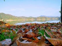 潭湖景色